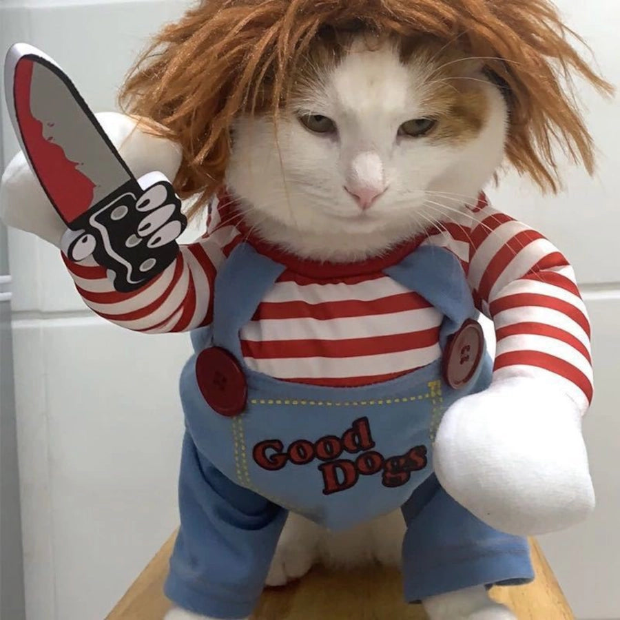 🐶😼 Disfraz Chucky para mascotas Perros Gatos🐾