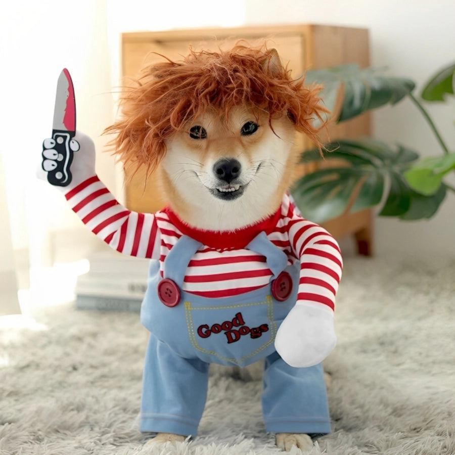 🐶😼 Disfraz Chucky para mascotas Perros Gatos🐾