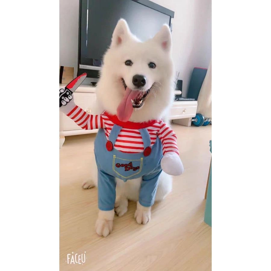 🐶😼 Disfraz Chucky para mascotas Perros Gatos🐾