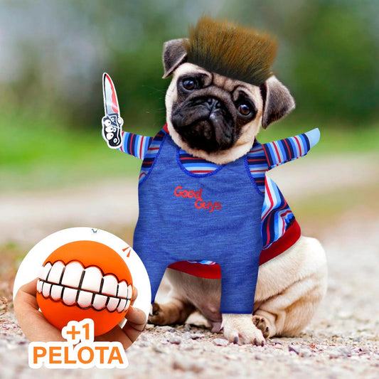 🐶😼 Disfraz Chucky para mascotas Perros Gatos🐾