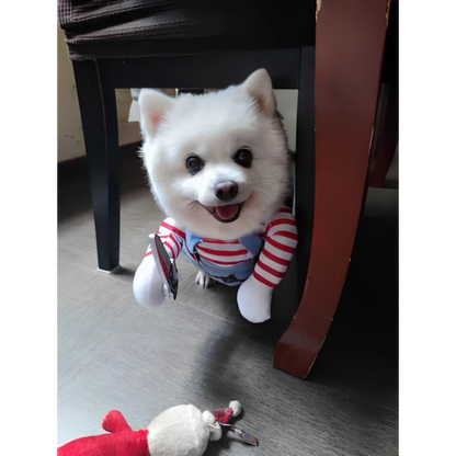 🐶😼 Disfraz Chucky para mascotas Perros Gatos🐾